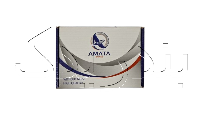 لنت عقب دیسکی دنا - دناپلاس - سمند - سورن - پارس TU5 آماتا 1307007 AMATA